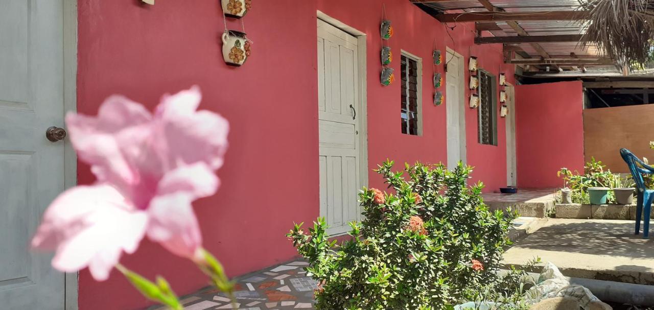 Guest House Nena โมโยกัลปา ภายนอก รูปภาพ