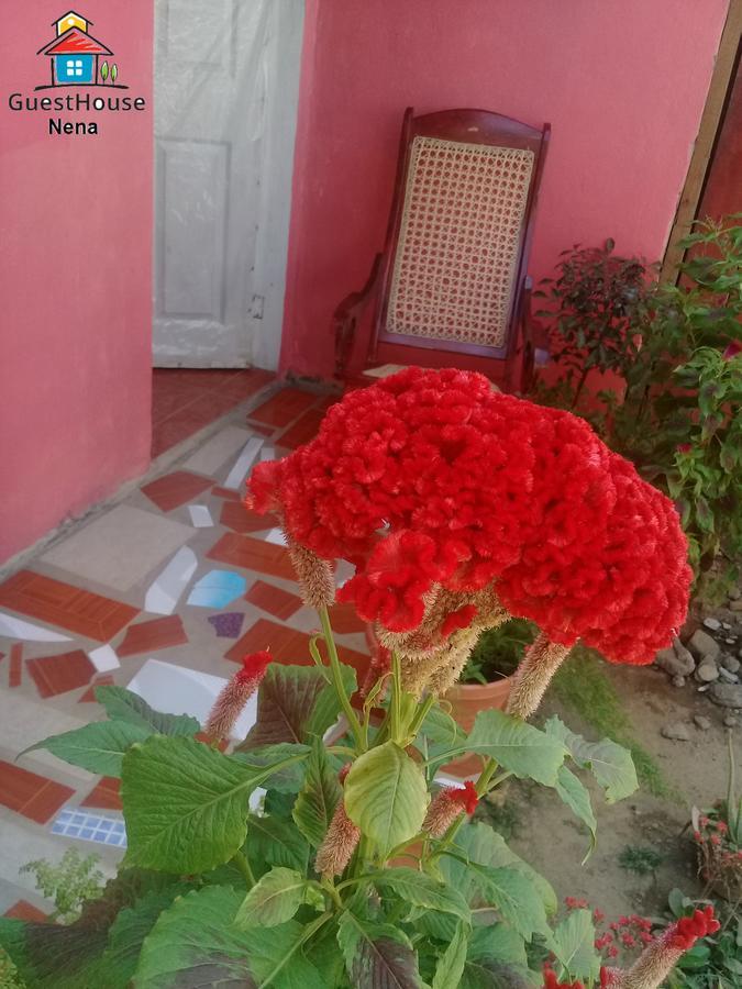 Guest House Nena โมโยกัลปา ภายนอก รูปภาพ